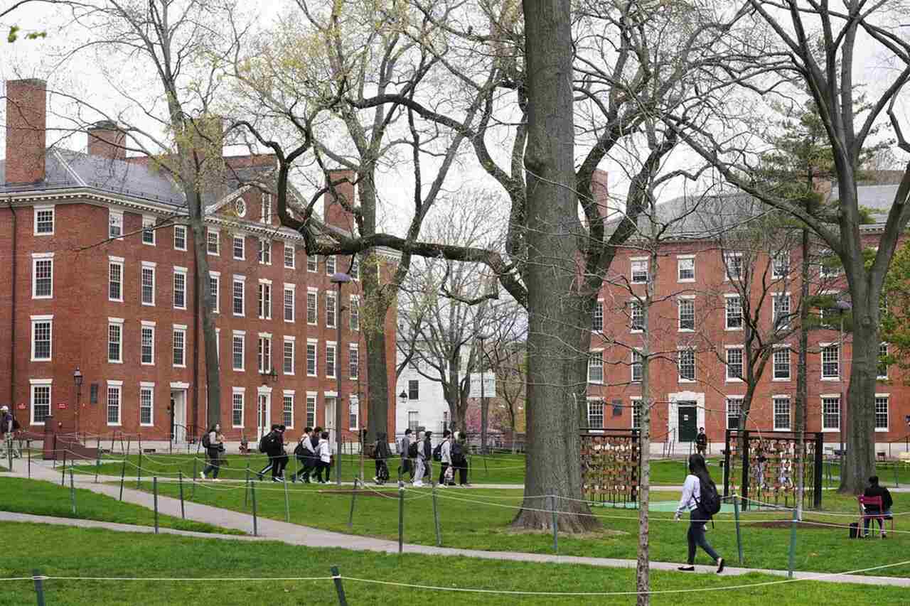 cursos gratuitos da faculdade Harvard