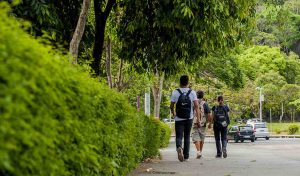 Programa de Ingresso Seletivo Misto na UFJF: Como se inscrever e etapas