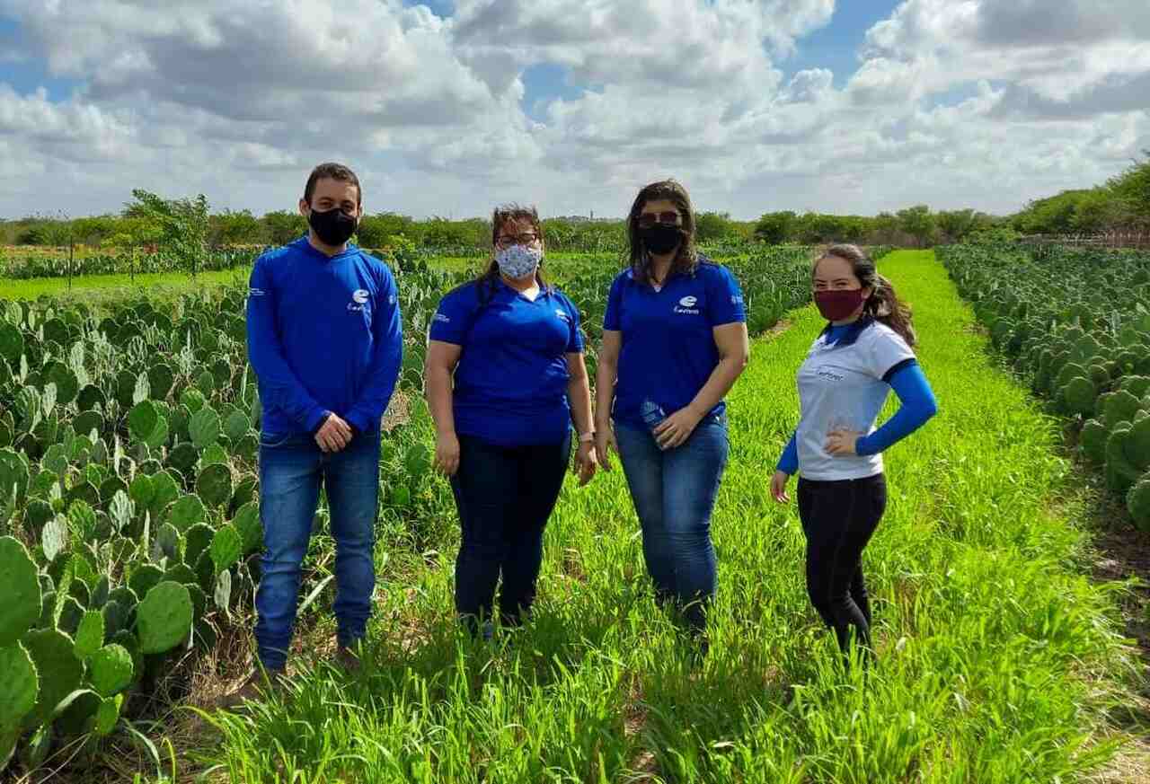 Programa Agente Rural